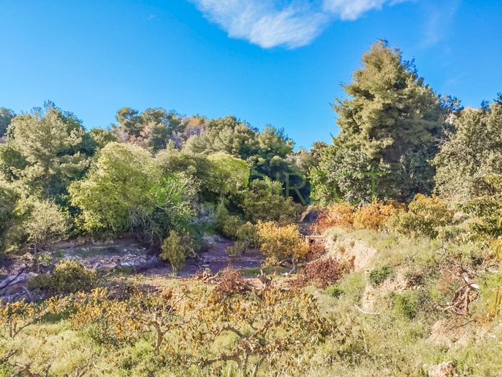 Image No.6-Terrain à vendre à Frigiliana