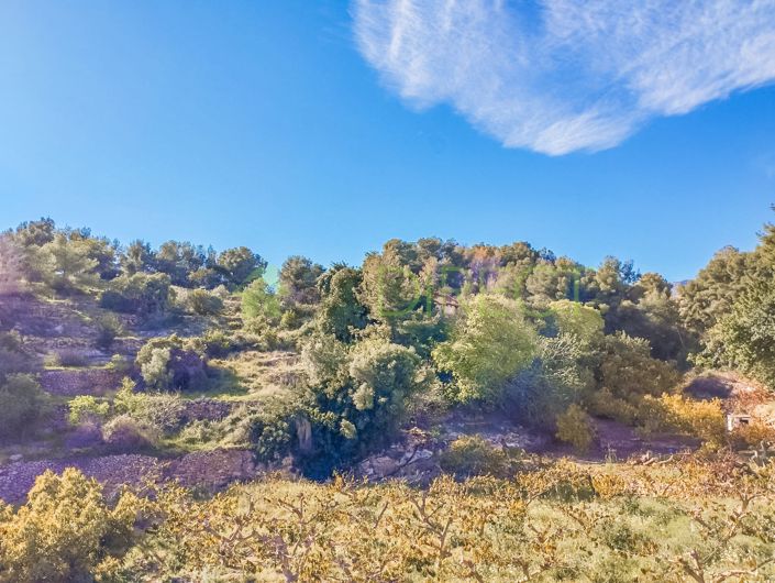Image No.8-Terrain à vendre à Frigiliana