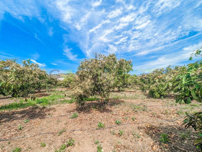 Image No.4-Maison de campagne de 1 chambre à vendre à Nerja