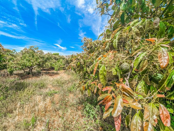 Image No.5-Maison de campagne de 1 chambre à vendre à Nerja
