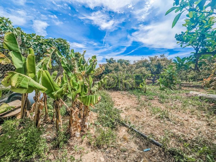 Image No.6-Maison de campagne de 1 chambre à vendre à Nerja