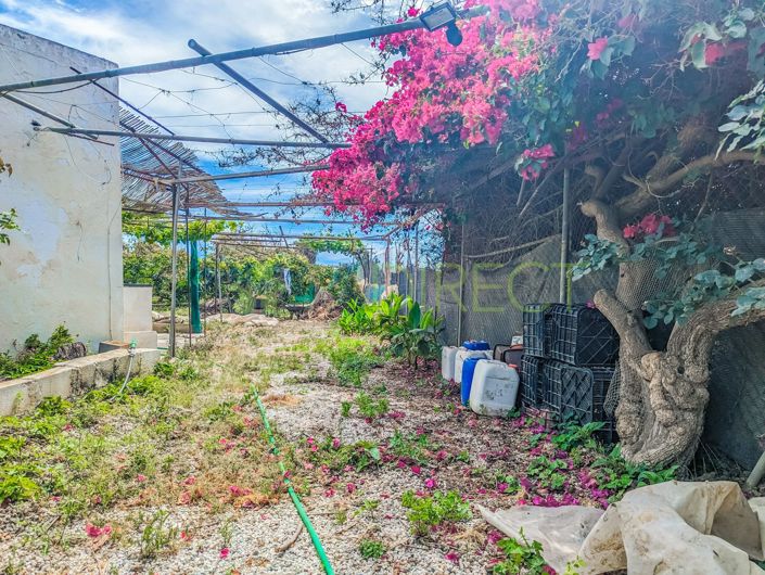 Image No.9-Maison de campagne de 1 chambre à vendre à Nerja