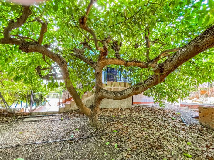 Image No.37-3 Bed Villa for sale