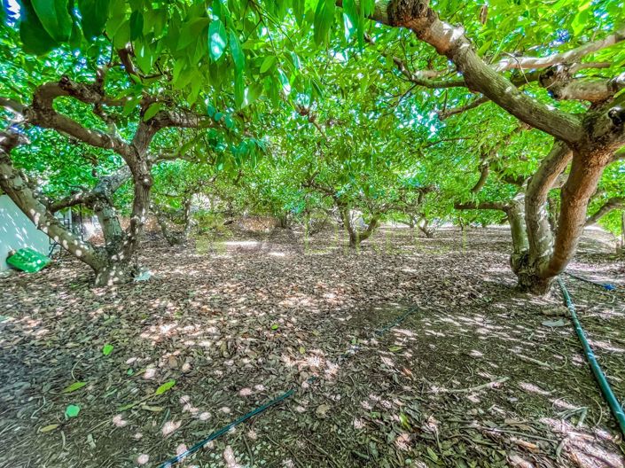 Image No.38-3 Bed Villa for sale