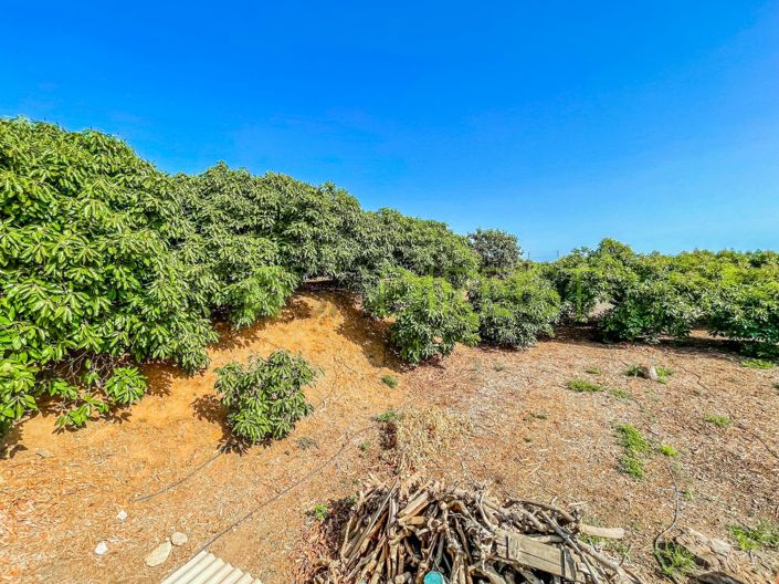 Image No.41-3 Bed Villa for sale