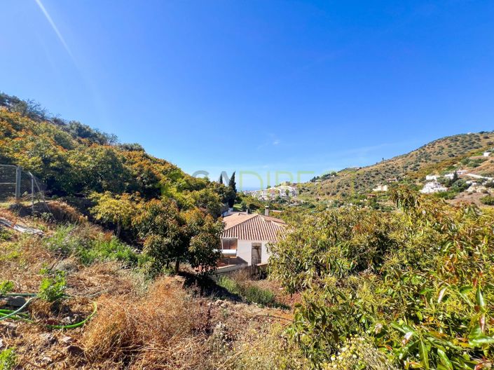 Image No.11-1 Bed Country House for sale