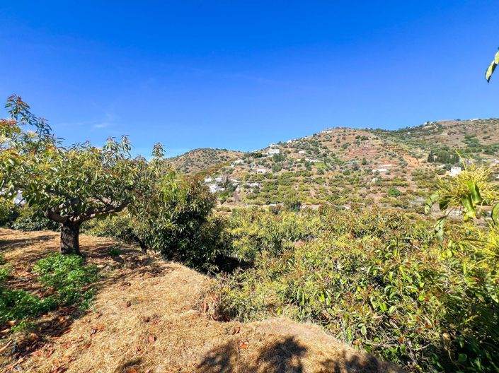 Image No.7-1 Bed Country House for sale