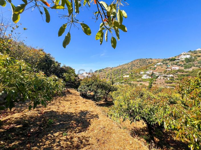 Image No.8-1 Bed Country House for sale