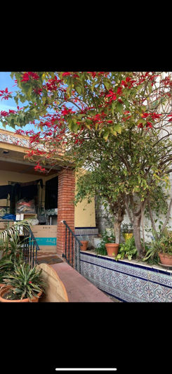 Image No.1-5 Bed Townhouse for sale