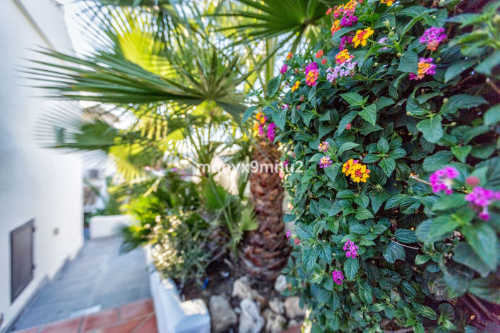 Image No.11-Villa de 5 chambres à vendre à El Chapparal