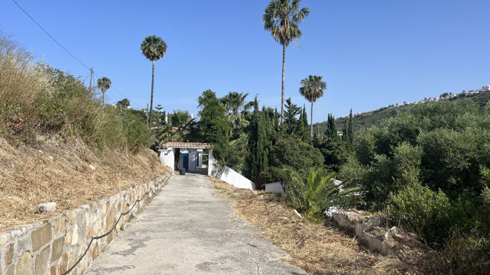 Image No.15-3 Bed Finca for sale