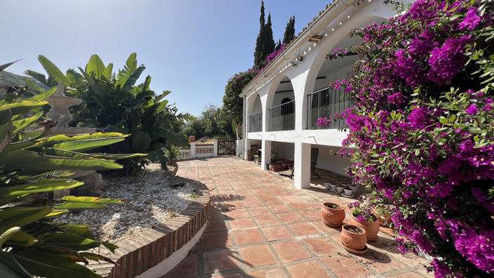 Image No.3-3 Bed Finca for sale