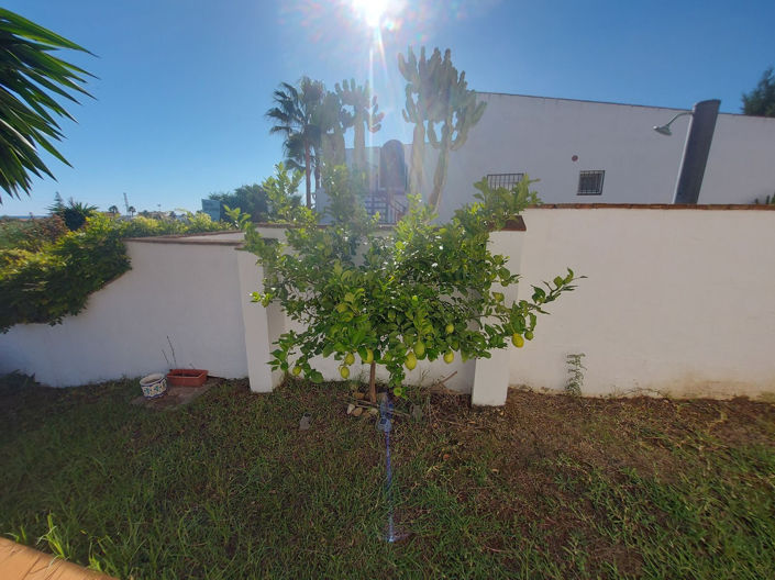 Image No.11-3 Bed Villa for sale