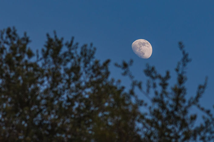 Image No.8-4 Bed Finca for sale