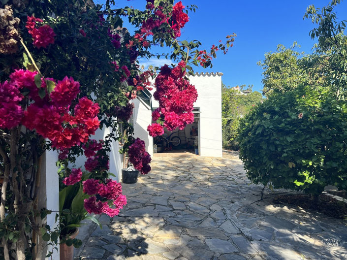 Image No.3-3 Bed Finca for sale