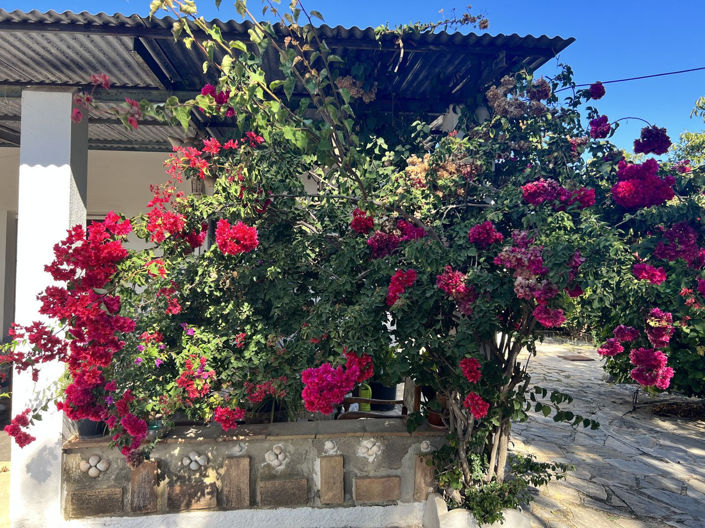 Image No.4-3 Bed Finca for sale