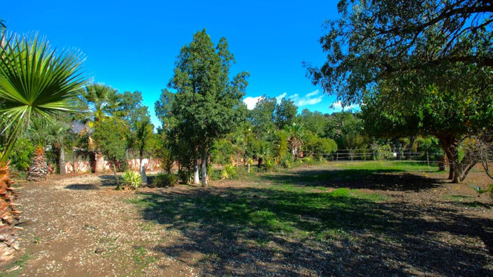 Image No.13-3 Bed Finca for sale