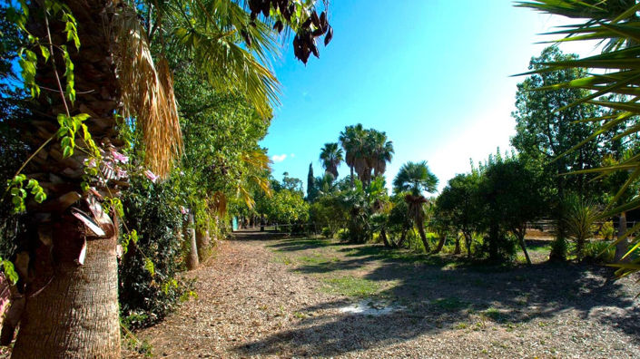 Image No.20-3 Bed Finca for sale