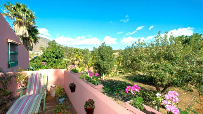 Image No.22-3 Bed Finca for sale