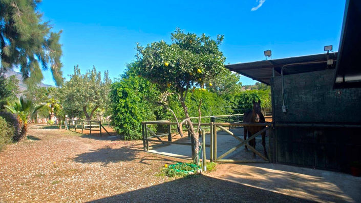 Image No.25-3 Bed Finca for sale