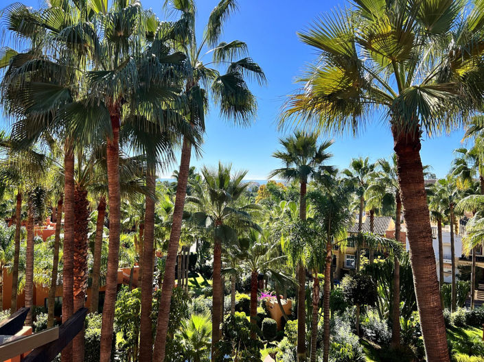 Image No.5-3 Bed Penthouse for sale