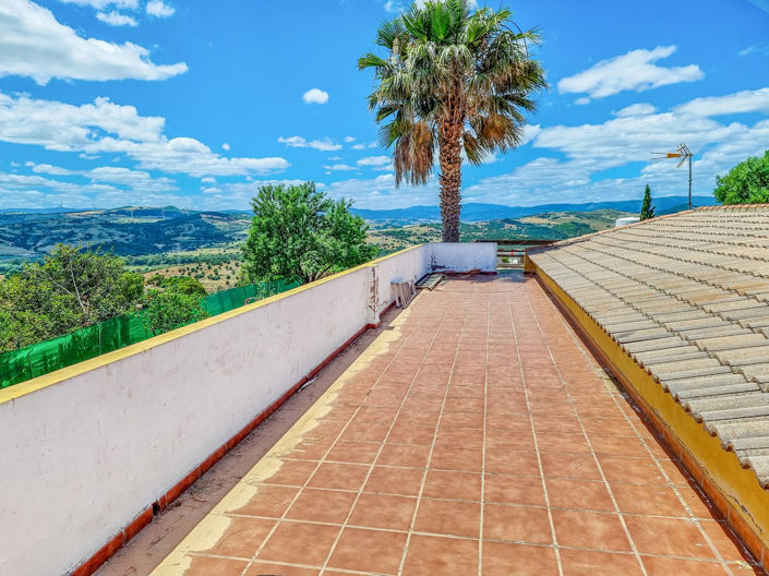 Image No.14-Finca de 3 chambres à vendre à Casares