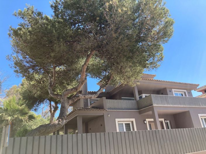 Image No.6-5 Bed Villa for sale