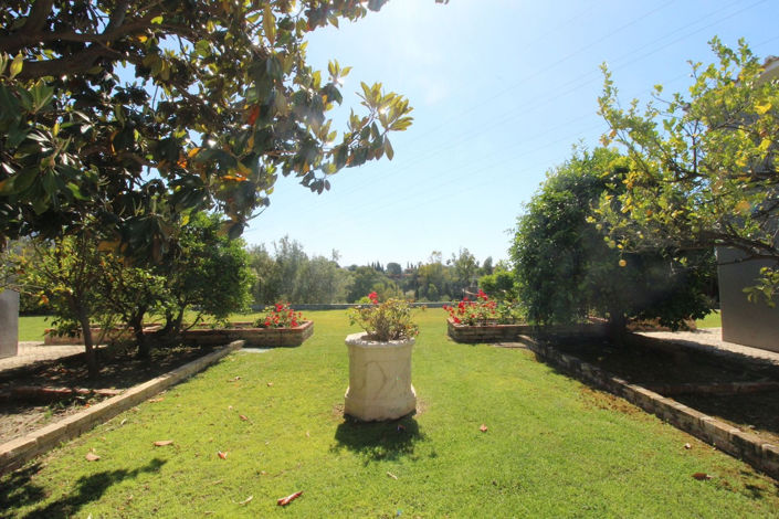 Image No.6-5 Bed Villa for sale