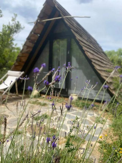 Image No.2-Finca de 9 chambres à vendre à Monda