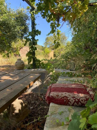 Image No.7-Finca de 9 chambres à vendre à Monda