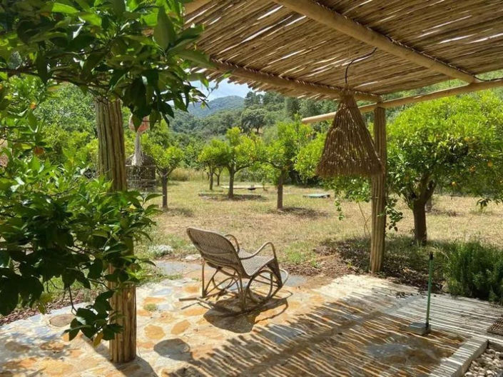 Image No.8-Finca de 9 chambres à vendre à Monda