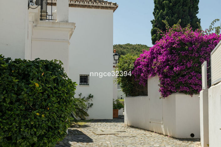 Image No.4-Penthouse de 2 chambres à vendre à Benamara