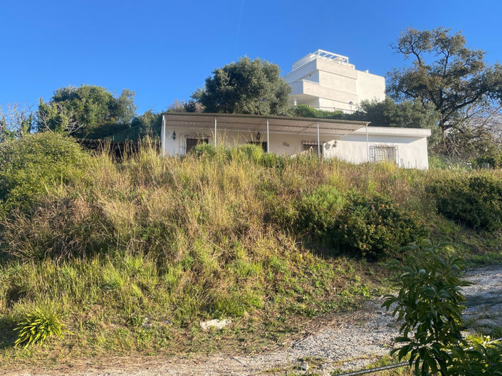 Image No.1-1 Bed Finca for sale