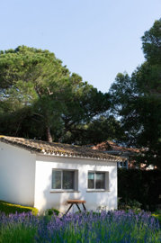Spanish Property & Co most sold property