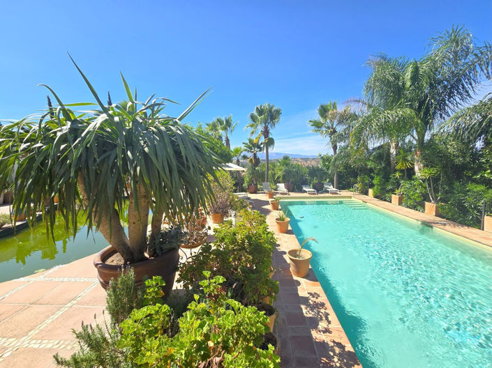 Image No.26-Finca de 6 chambres à vendre à Alhaurín el Grande