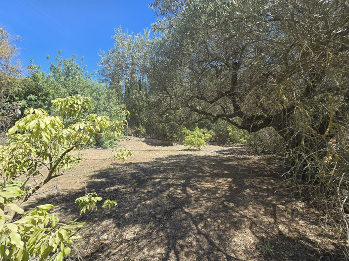 Image No.5-Finca de 6 chambres à vendre à Alhaurín el Grande