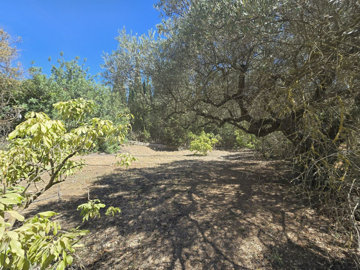 ryvabscjlim65-353c686b8f38625cb02b3bc224191eb