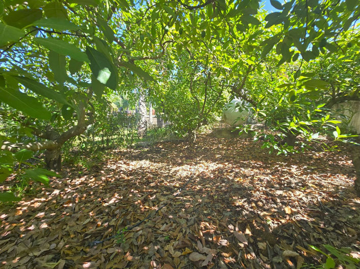 Image No.7-Finca de 6 chambres à vendre à Alhaurín el Grande