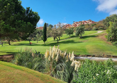 xorejr3xss47-b3a03718b4ecea17fd5585e425dce0e2