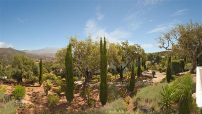 Spanish Property & Co most sold property