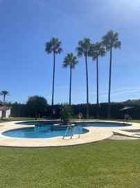 61dmeyztks95-3595ad71cbd87be6c3643a4285ef4791