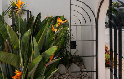 au2ou6tr0la30-5e8634ec9576c9ad4825a6dec5b5d37