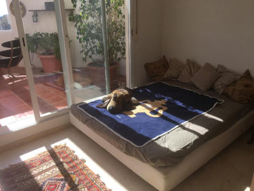 x77ba6ap9119-d0ed7da2012a09046d307c195d98e7d6