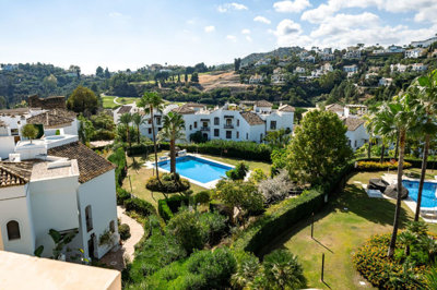 8yld4d9n794-c23c0f86247804fa50226aecd8b0b2c8