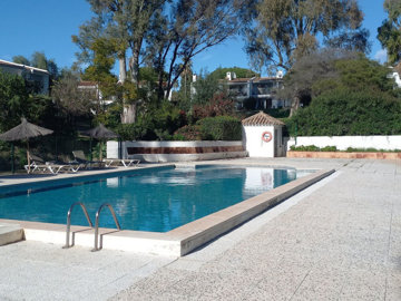 1xvperpheudg1-7980e48d732b6fc85c14b43b94d2aa5