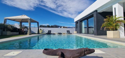 hn2a82mxicv1-7980e48d732b6fc85c14b43b94d2aa54