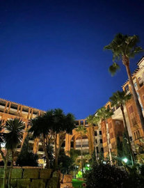 0cs8h3fpe0g14-d70dc3102c00d7be0e872dfe1c1f86d