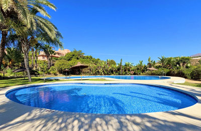 djfrl6im1sq2-5bd7b9d04b45e33852eaf0ec6670150d