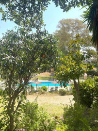 ocw0ggud41-7980e48d732b6fc85c14b43b94d2aa54