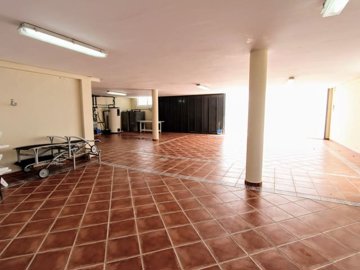x-254514950